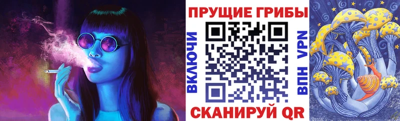 где купить   kraken зеркало  Псилоцибиновые грибы Psilocybine cubensis  Серов 